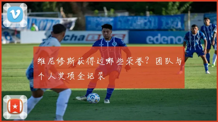 维尼修斯获得过哪些荣誉?团队与个人奖项全记录