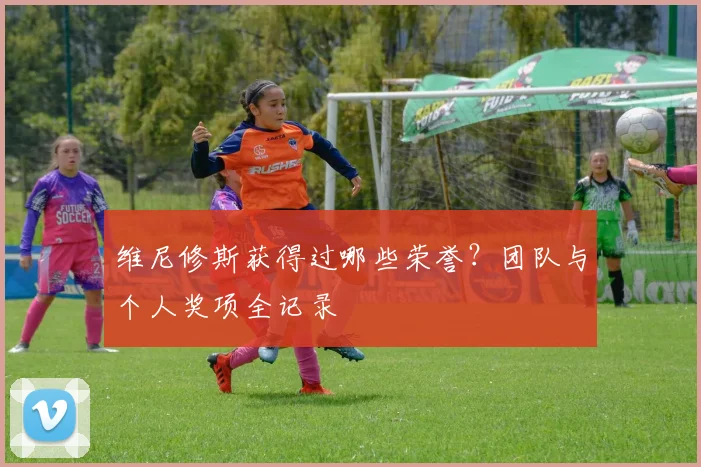 维尼修斯获得过哪些荣誉？团队与个人奖项全记录